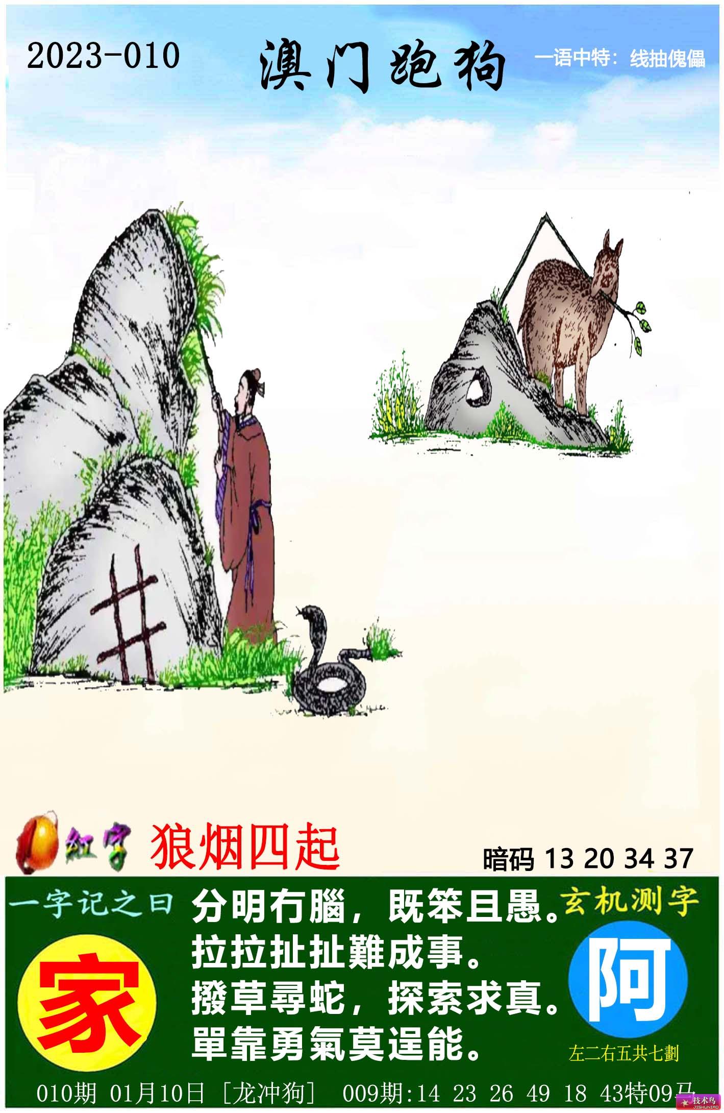 全新版跑狗圖解析，77777與88888的神秘組合，全新版跑狗圖解析，揭秘77777與88888的神秘組合