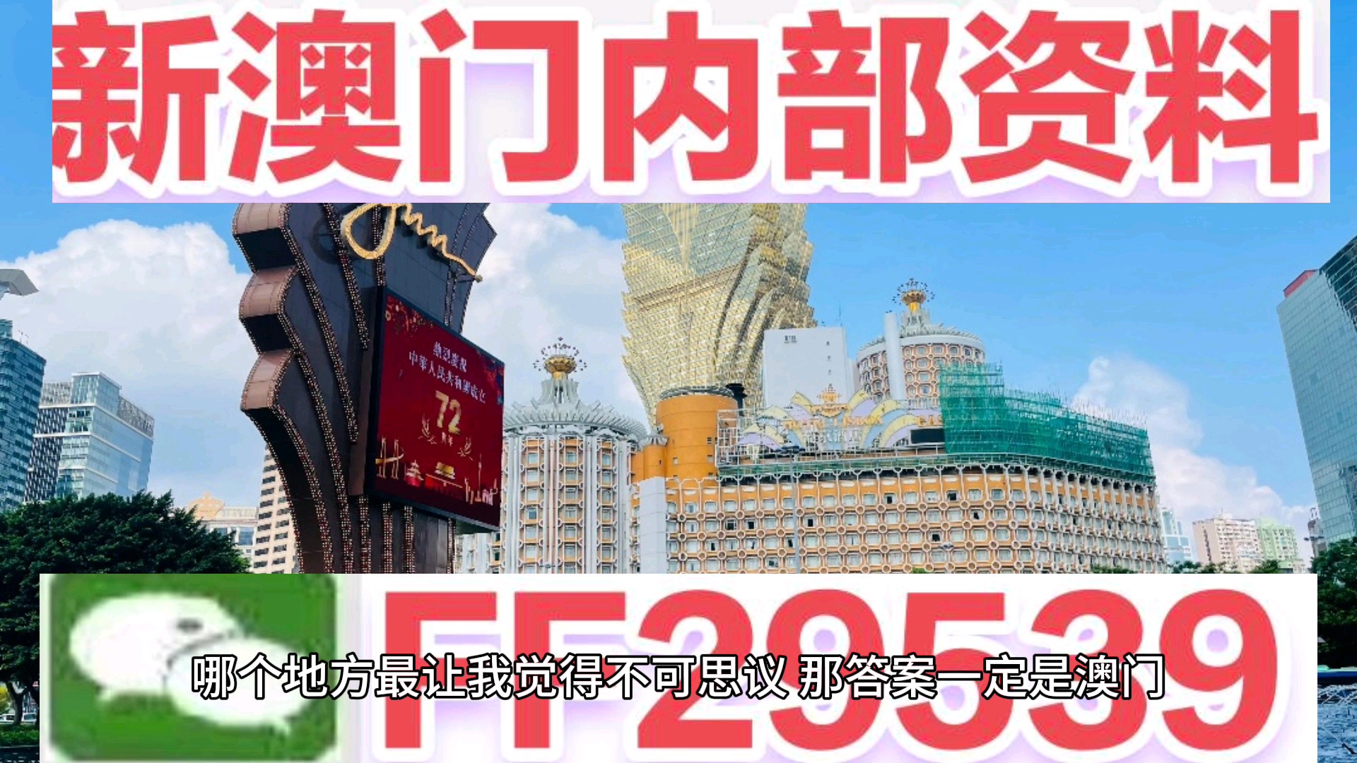 澳門特馬今晚開獎，聚焦第138期的期待與揭秘，澳門特馬第138期開獎，期待與揭秘之夜