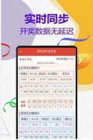 管家婆204年資料解析，一肖配成龍，管家婆204年資料解析揭秘，一肖配成龍獨(dú)家解析