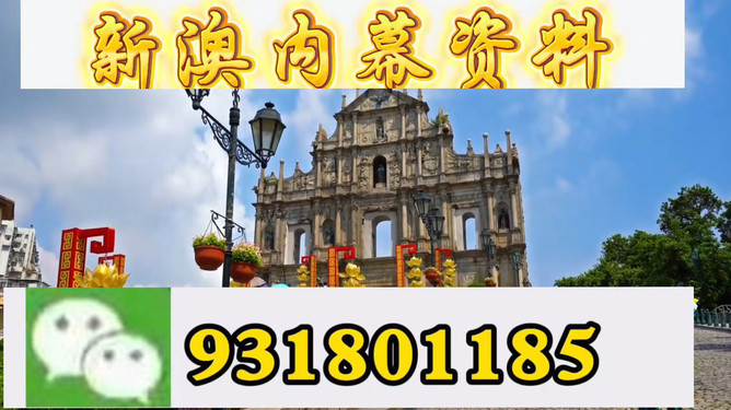 澳門今晚9點(diǎn)35分特馬預(yù)測(cè)與解析，澳門今晚9點(diǎn)35分特馬預(yù)測(cè)解析及開(kāi)獎(jiǎng)揭秘