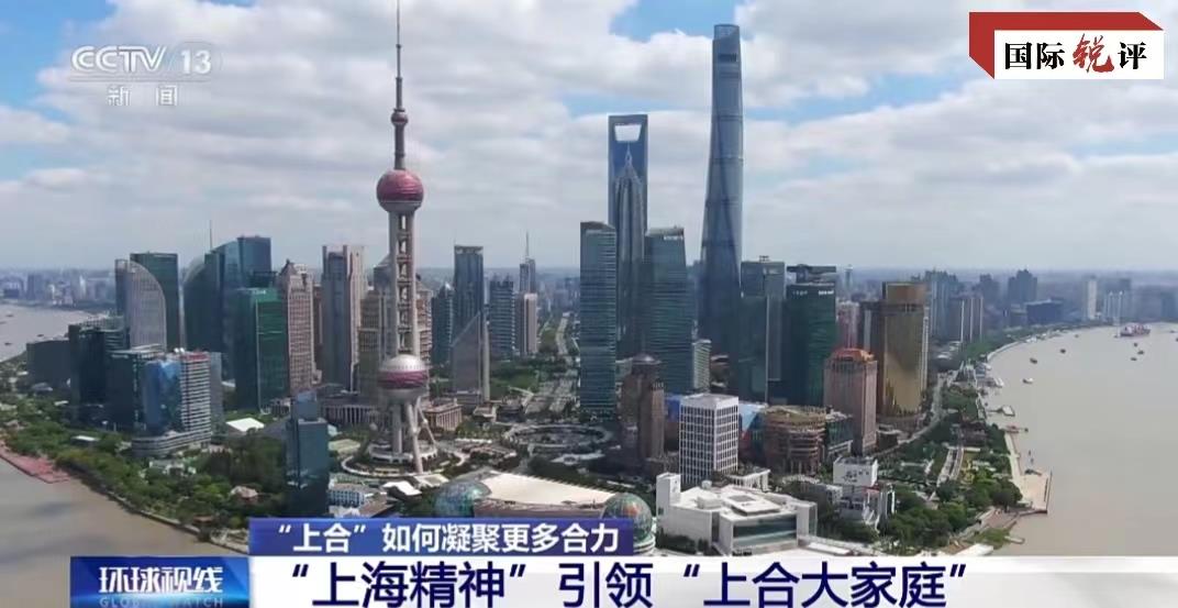 新澳門今晚上芳草地開獎結(jié)果數(shù)字——揭開神秘面紗下的真相，澳門今宵芳草地開獎揭秘，神秘面紗下的數(shù)字真相