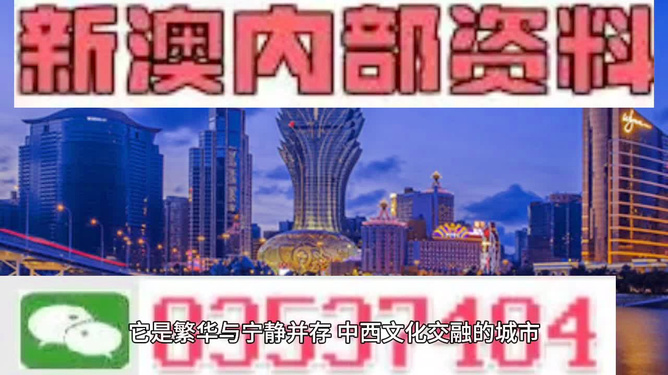 新澳王中王100%的資料詳解，新澳王中王100%資料詳解概覽