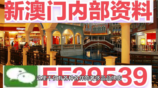 澳門未來展望，2025年的澳門展望，澳門未來展望，展望2025年澳門發(fā)展藍(lán)圖