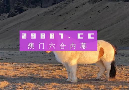 澳門彩之www.04812com探索與體驗(yàn)，澳門彩之www.04812com，探索與沉浸式體驗(yàn)