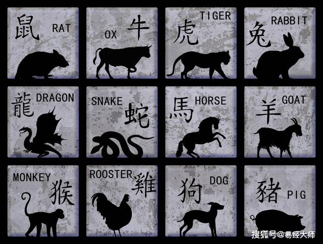 新澳特碼，羊?；⒏鲾?shù)10——揭秘背后的奧秘與策略，揭秘新澳特碼背后的奧秘與策略，羊?；⒏鲾?shù)之謎