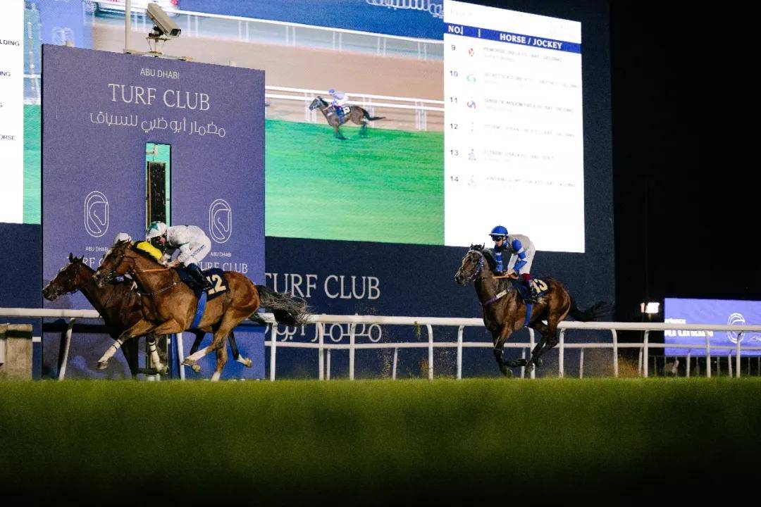 澳門特馬今晚開獎一，探索彩票背后的秘密與期待，澳門特馬今晚開獎，揭秘彩票背后的秘密與期待大獎的激動心情