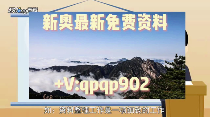 新奧正版資料最新更新 2025年展望，新奧正版資料最新更新，展望2025年