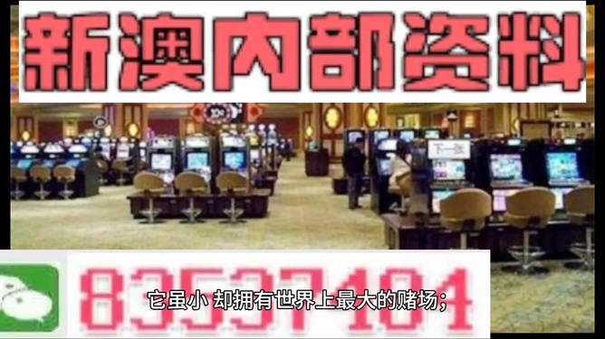 2024新奧精準(zhǔn)正版免費(fèi)，獲取優(yōu)質(zhì)資源的全新途徑，優(yōu)質(zhì)資源獲取新途徑，2024新奧精準(zhǔn)正版免費(fèi)平臺亮相