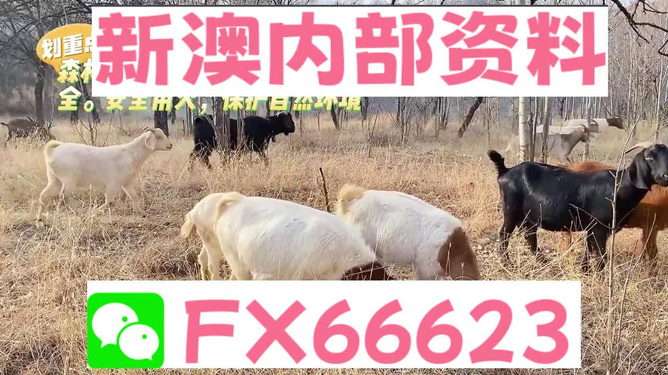 探索2005新澳正版兔費大全，一站式資源指南，探索全新正版兔費資源寶庫，一站式資源指南 2005 新澳正版大全