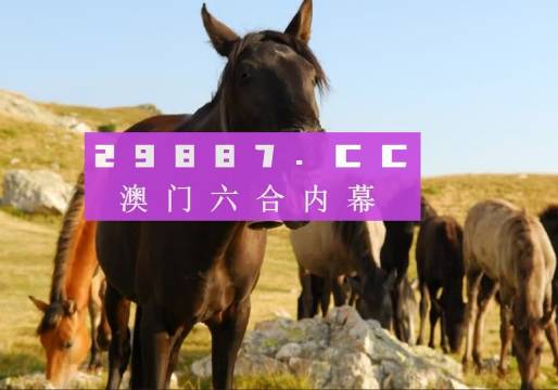 管家婆2025年澳門最精準(zhǔn)免費(fèi)大全，預(yù)測(cè)與策略分析，管家婆2025年澳門精準(zhǔn)預(yù)測(cè)與策略分析大全（免費(fèi)版）