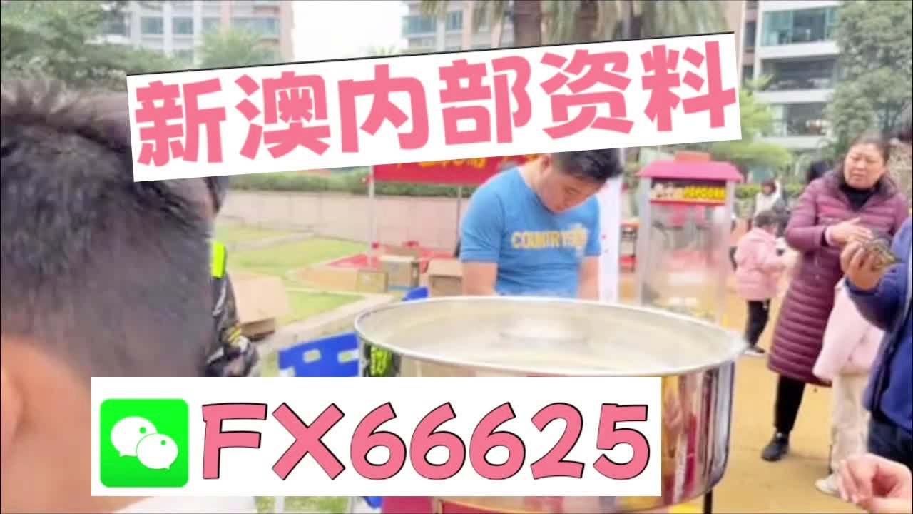 澳門乾坤寶典與最新資料大全，探索未來的奧秘（2025新澳展望），澳門乾坤寶典與最新資料大全，探索未來奧秘，展望新澳未來（2025）