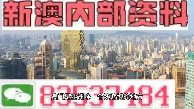 澳門精準(zhǔn)免費(fèi)資料大全，探索與揭秘，澳門精準(zhǔn)免費(fèi)資料大全，揭秘與探索之旅