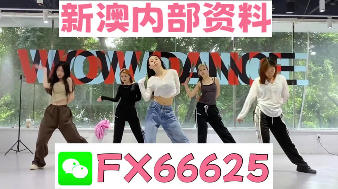 澳門今晚必開一肖，揭秘生肖彩票的魅力與策略，澳門生肖彩票揭秘，必開一肖的魅力與策略指南