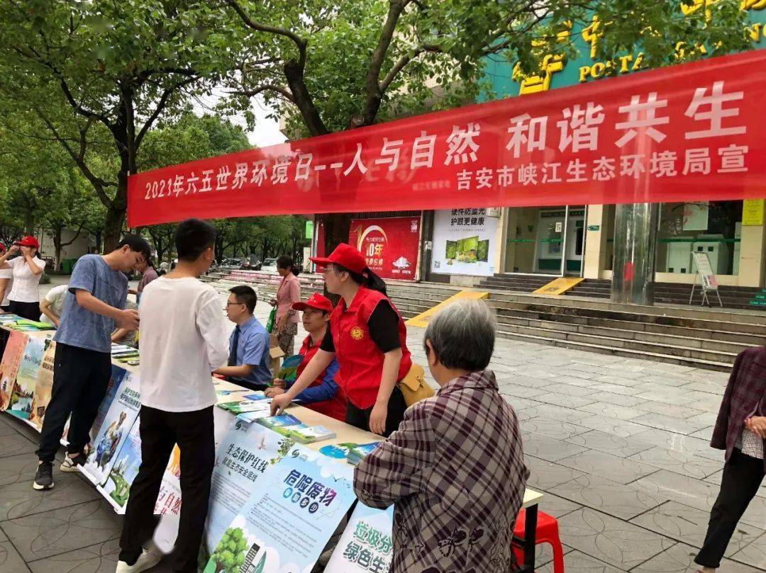 六月五號澳門開獎(jiǎng)結(jié)果全面解析，六月五號澳門開獎(jiǎng)結(jié)果深度解析