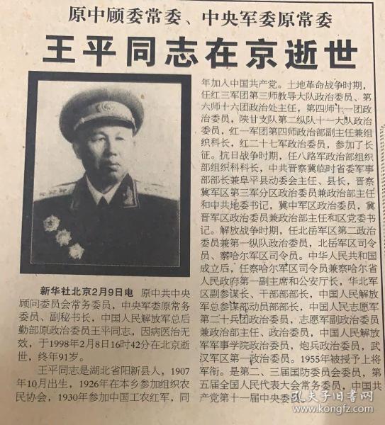 王王中王平特一肖，深度解析與SEO優(yōu)化策略，王王中王平特一肖深度解析與SEO優(yōu)化策略探討