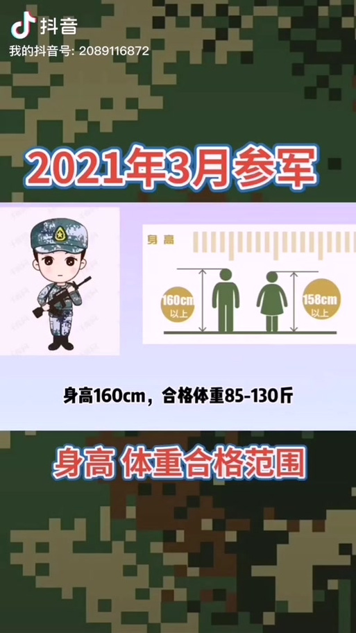 深度探究與解析