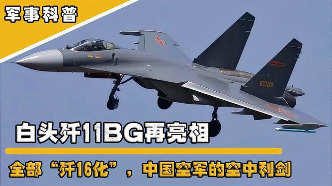 殲-11BG戰(zhàn)斗機，揭秘其所屬檔次與卓越性能，揭秘殲-11BG戰(zhàn)斗機所屬檔次與卓越性能特點