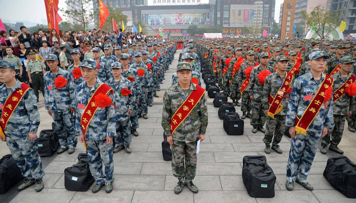 本科生參軍的條件、待遇及其影響，本科生參軍，條件、待遇與影響解析