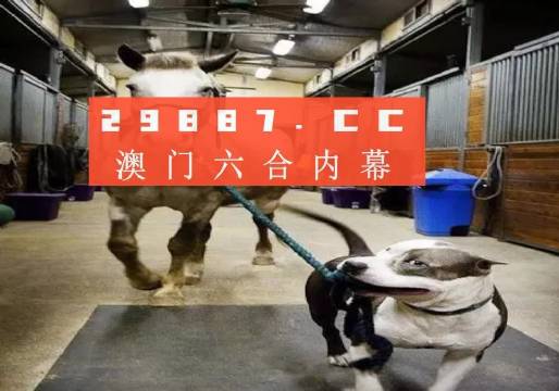 澳門一肖一碼一必中一肖，同舟前進的奧秘與策略，澳門一肖一碼必中策略與前進奧秘，同舟共濟的揭秘與策略