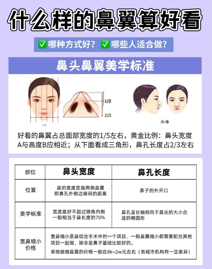 單獨縮鼻翼手術費用詳解，多少錢？，單獨縮鼻翼手術費用詳解及價格概覽