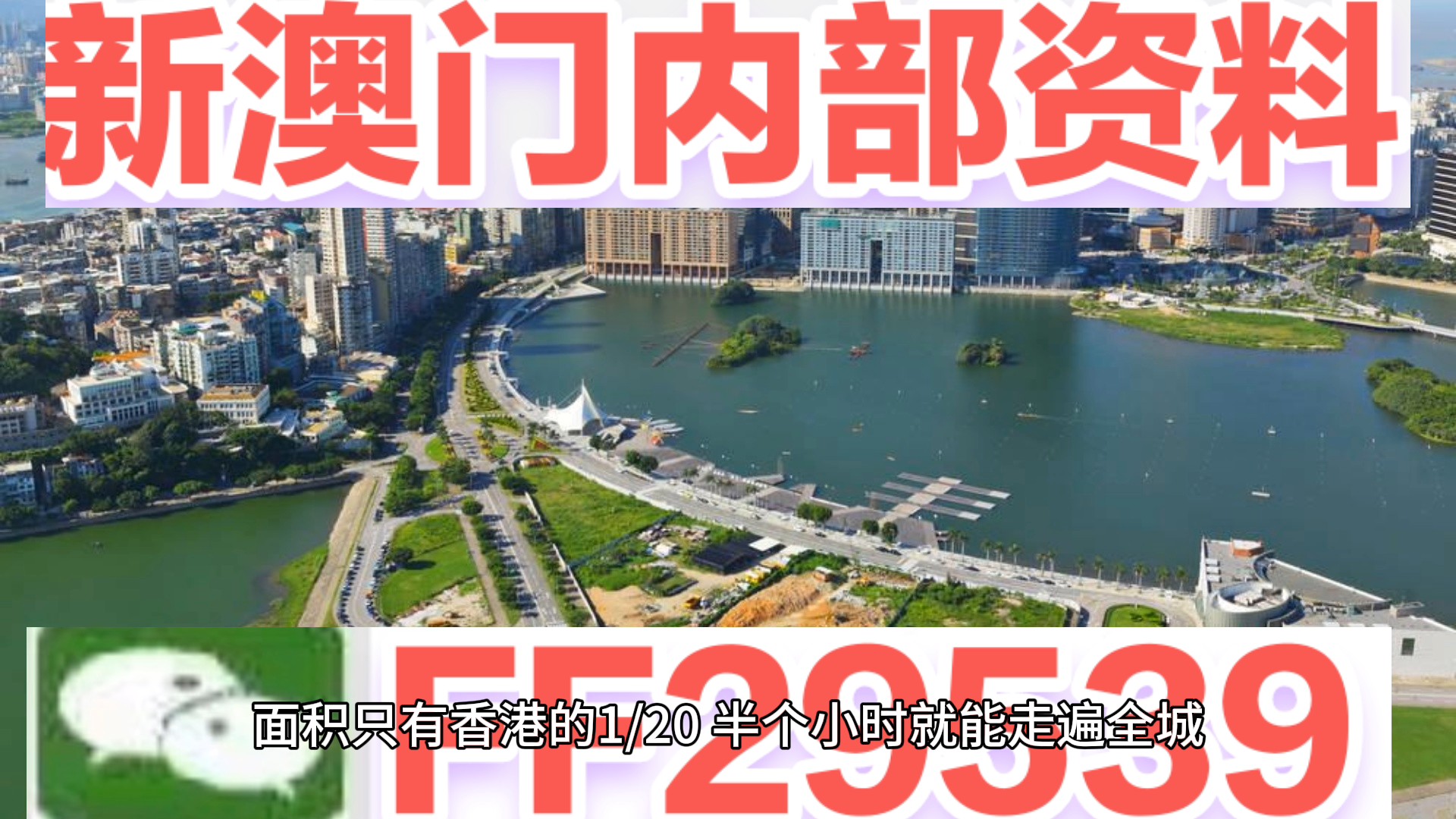 關(guān)于澳門今晚必開一肖的預(yù)測(cè)與解析（2025年），澳門今晚必開一肖預(yù)測(cè)解析（2025年獨(dú)家預(yù)測(cè)）