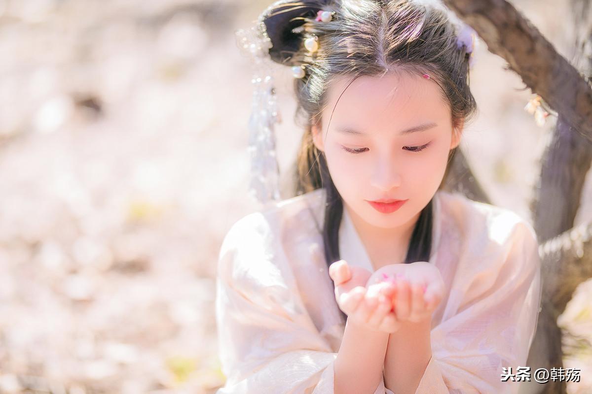 揭秘劉伯溫四不像期期一肖的神秘面紗，劉伯溫四不像期期一肖神秘面紗揭秘
