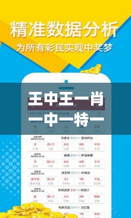 王中王一肖一馬期期中中，深度解讀與SEO策略，王中王一肖一馬期期中深度解讀與SEO策略探討