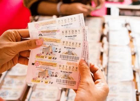 揭秘香港平特一肖——探尋王中王的獨(dú)特策略，揭秘香港平特一肖之王中王獨(dú)特策略揭秘