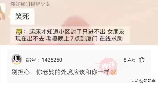 中國導(dǎo)彈防御系統(tǒng)簡稱，全面解析與探討，中國導(dǎo)彈防御系統(tǒng)簡稱，全面解析與深入探討