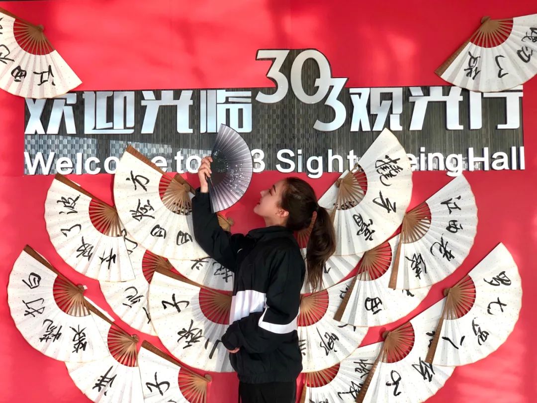 王中王303期指一生肖，揭秘背后的奧秘與生肖文化深度關(guān)聯(lián)，揭秘生肖文化背后的奧秘，王中王303期生肖揭秘與深度關(guān)聯(lián)
