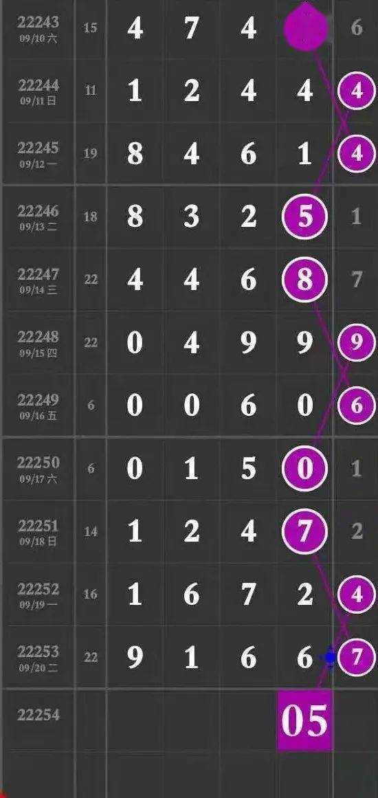 揭秘64407王中王主一肖，神秘?cái)?shù)字背后的故事，揭秘64407王中王主一肖，神秘?cái)?shù)字背后的傳奇故事