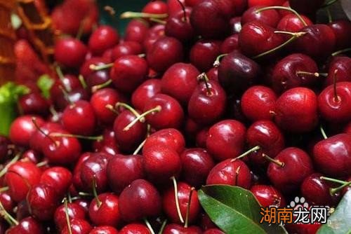 車厘子的功效與作用，揭示紅色小果的驚人健康益處，車厘子的驚人健康益處，紅色小果的神奇功效與作用揭秘