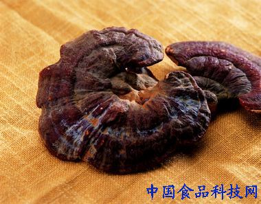 推薦 第47頁(yè)