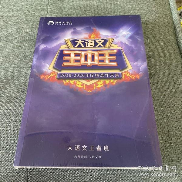 揭秘2019王中王資料一肖，傳奇背后的故事，揭秘傳奇背后的故事，王中王資料一肖探秘（2019版）