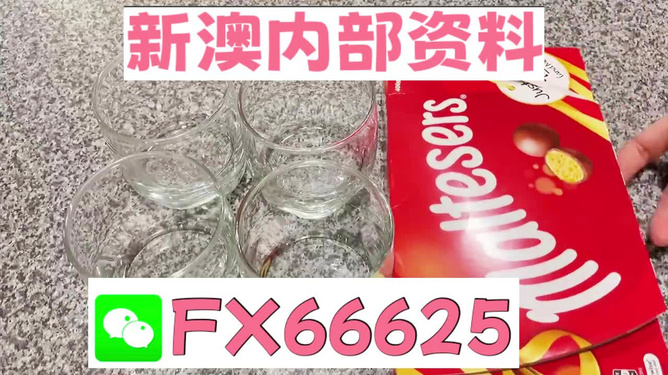 澳門49圖正版資料，探索正版數(shù)據(jù)資料的魅力與價值，澳門正版資料探索，數(shù)據(jù)資料的魅力與價值揭秘