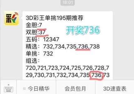 揭秘63期王中王一肖中特背后的秘密，揭秘王中王一肖中特背后的秘密與策略