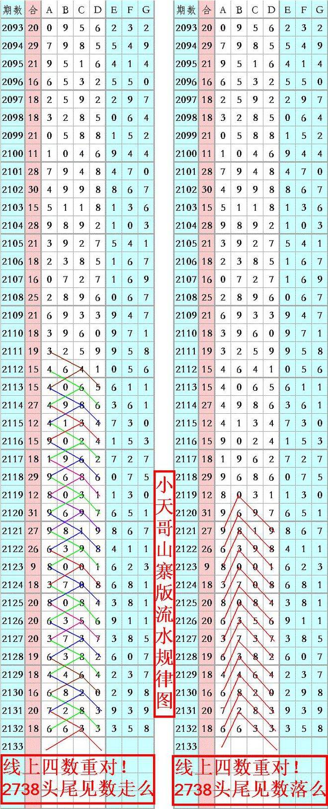 王中王資料一肖正特馬，深度解析與探索，王中王資料一肖正特馬深度解析與探索揭秘