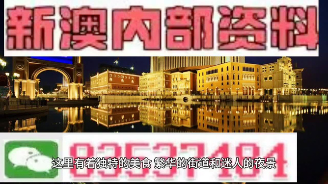 新澳門精準資料大全與管家婆料，探索SEO的奧秘，探索SEO奧秘，新澳門精準資料大全與管家婆料的秘密解析