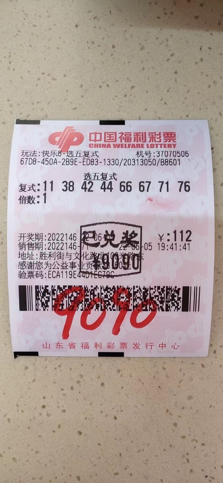 王中王平特一肖