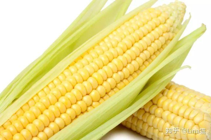 玉米的功效與作用，全面解析其健康益處，玉米的健康益處全面解析，功效與作用一覽