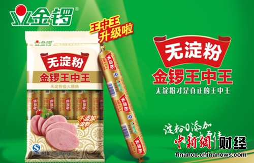 王中王王中王一解一肖，深度解析與SEO洞察，王中王深度解析與SEO洞察揭秘一解一肖的秘密