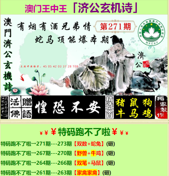 王中王六肖一句贏錢，揭秘彩票背后的秘密與策略，揭秘彩票背后的秘密與策略，王中王六肖一句贏錢之道