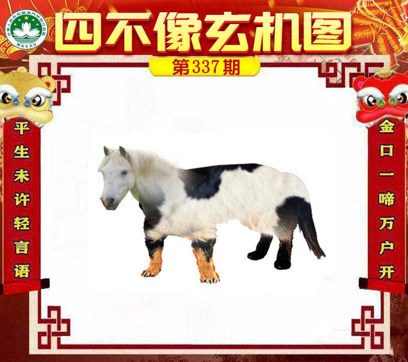 澳門(mén)一肖一碼一待一中四不像——揭秘與探索，澳門(mén)神秘一肖一碼，揭秘與探索一待一中四不像的秘密