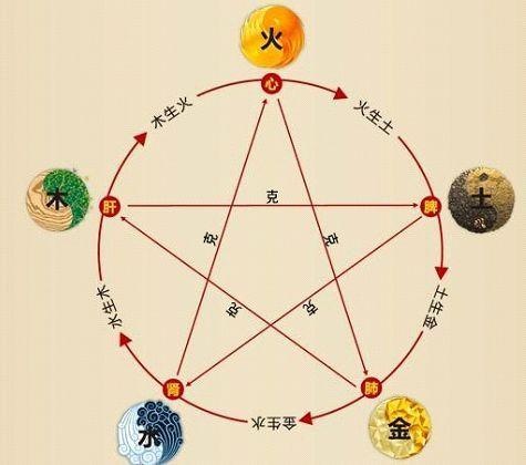 鐵算算盤4887最準資料，揭秘精準算盤的秘密，揭秘鐵算算盤4887，精準預(yù)測的秘密資料分享