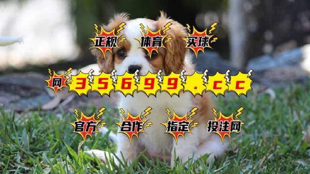 澳門六肖中特馬，揭秘彩票背后的秘密與策略，澳門六肖彩票背后的秘密與策略揭秘