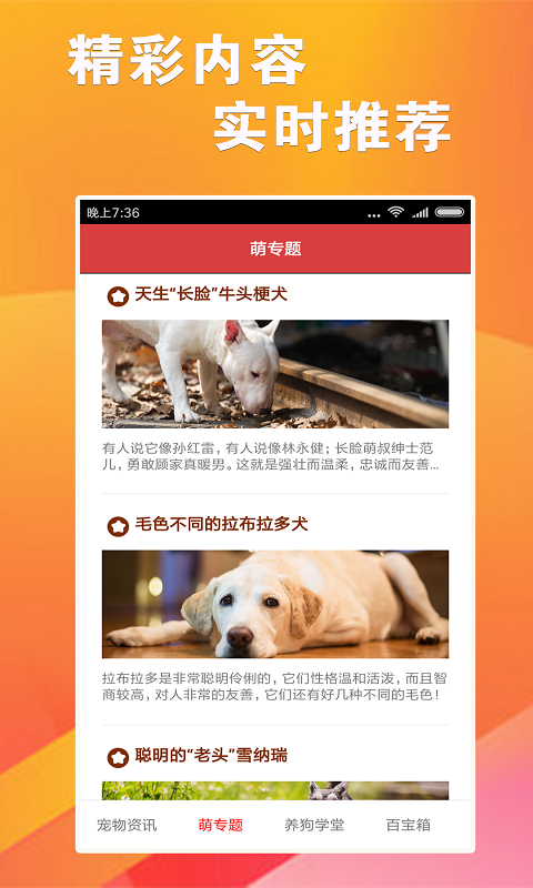 7777788888跑狗游戲免費下載指南，跑狗游戲下載指南，免費下載跑狗游戲攻略