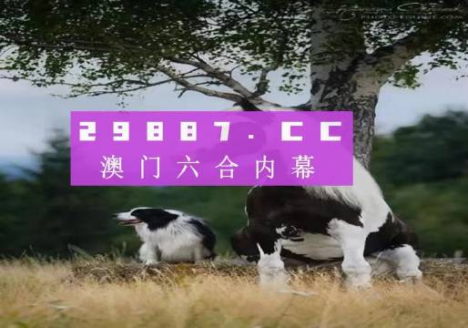 澳門天天空彩官網(wǎng)資料，探索彩票行業(yè)的最前沿，澳門天天空彩官網(wǎng)資料揭秘，彩票行業(yè)最前沿探索
