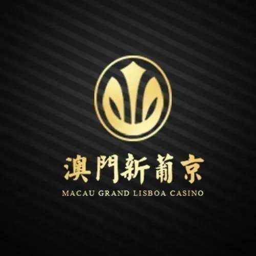 探索新奧門正版游戲世界，77777與88888的魅力，新奧門正版游戲世界探秘，77777與88888的魅力之游