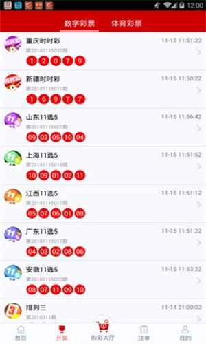 一碼一肖，揭秘背后的神秘面紗，一碼一肖，揭開神秘面紗的真相探索