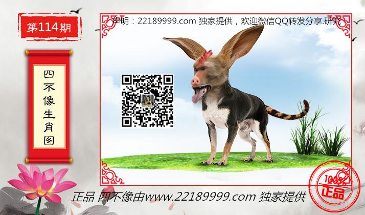 財經(jīng) 第20頁